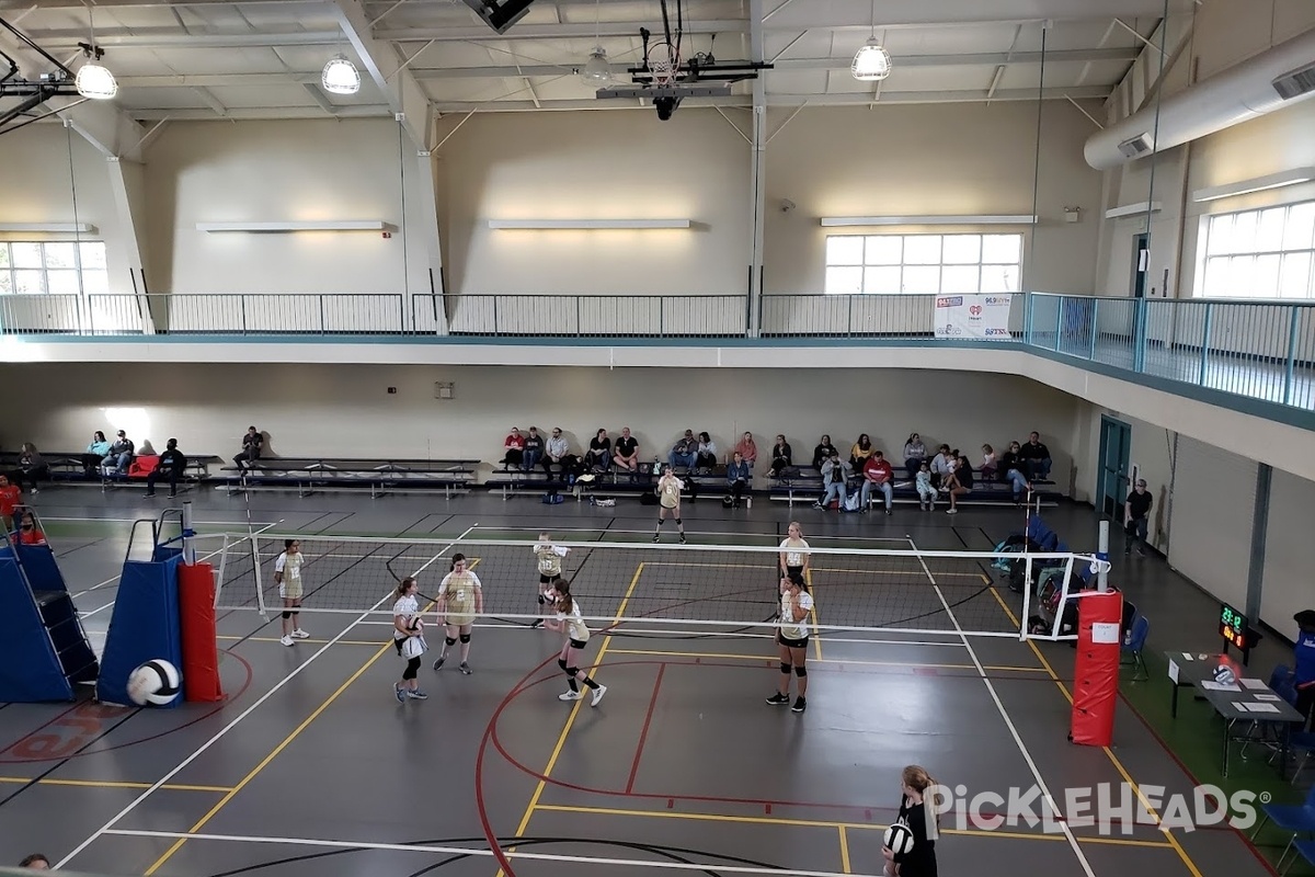 Photo of Pickleball at Mary Ann Phelps Activity Center